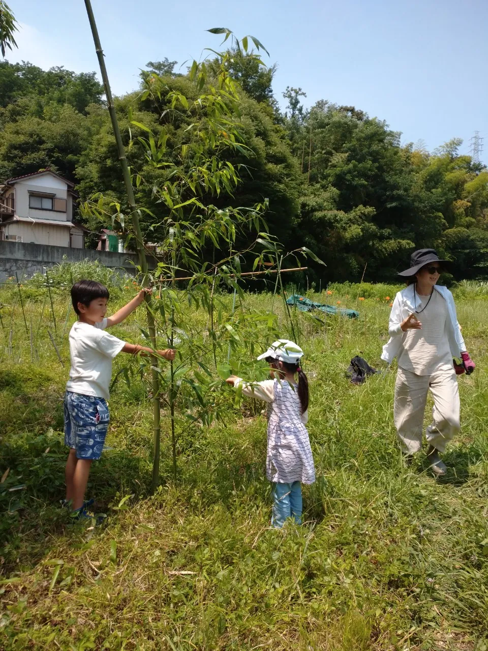 こども農園 活動記録 2023の写真