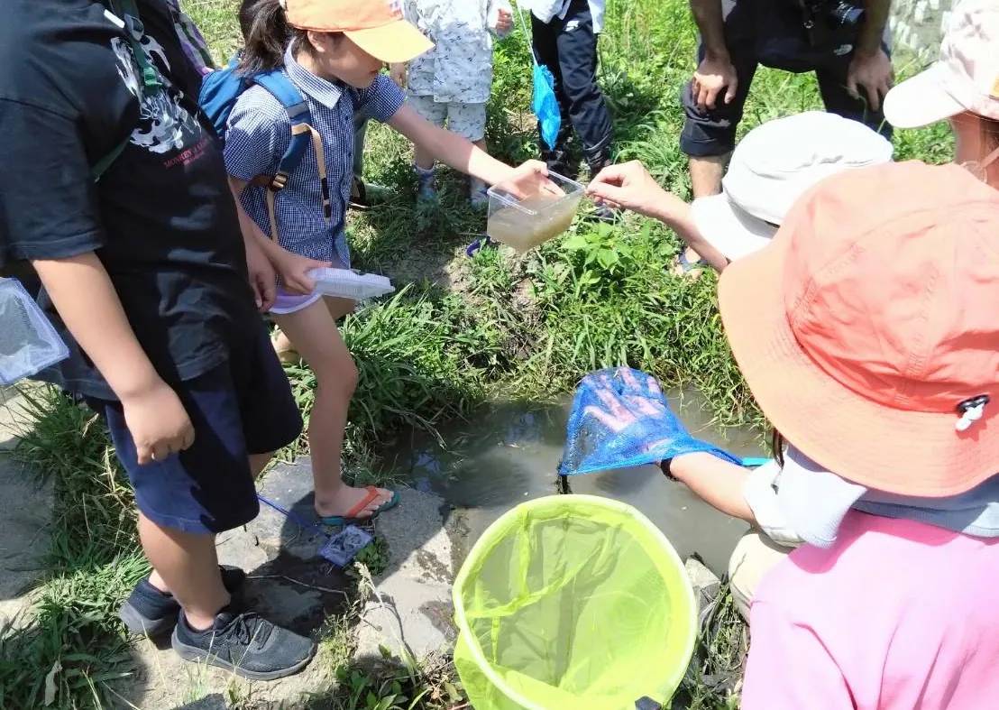 吾妻山棚田の生きもの調査の写真