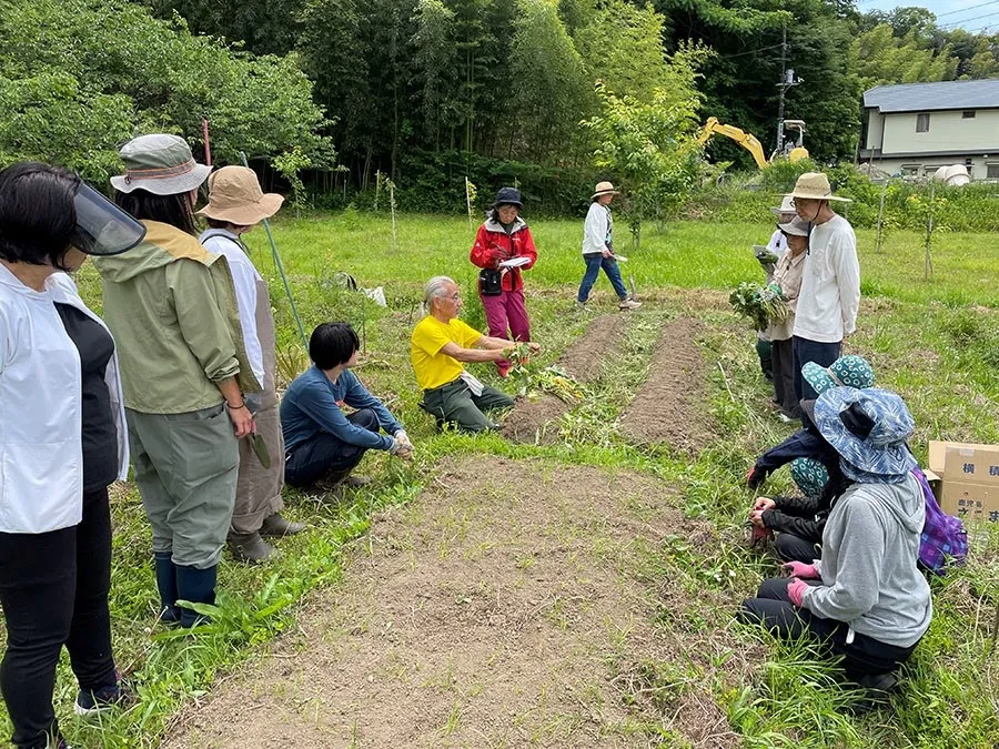 二宮農園 活動記録 2023の写真