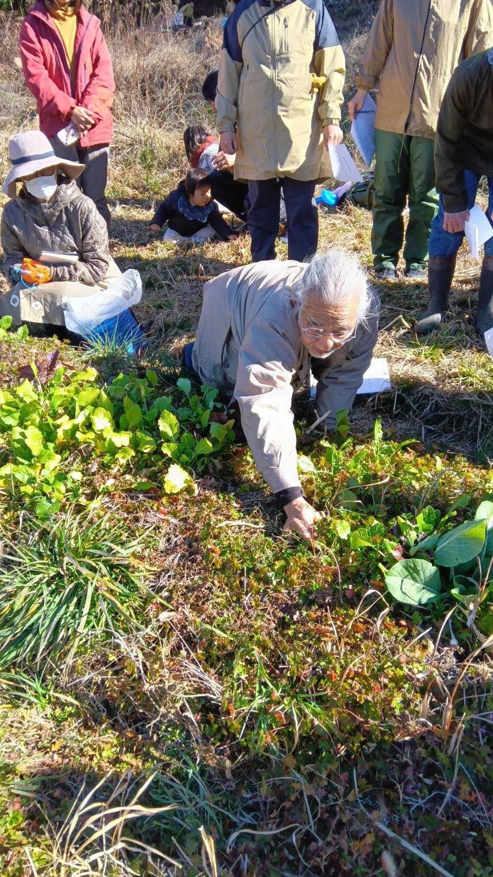 二宮農園 活動記録 2025の写真