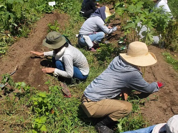 二宮農園 活動記録 2018の写真