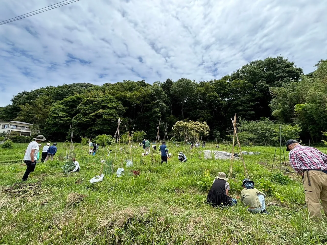 二宮農園 活動記録 2024の写真