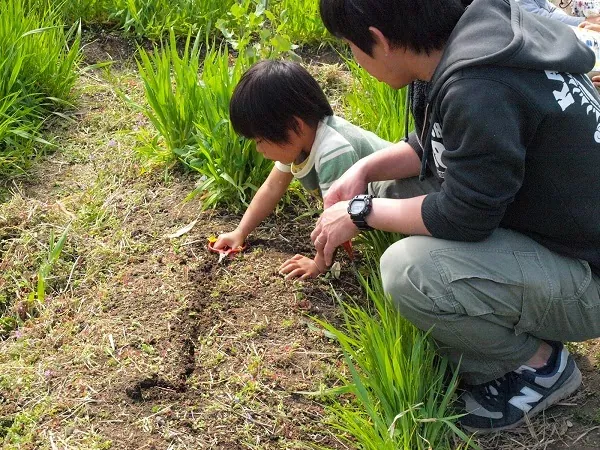 こども農園 活動記録 2020の写真