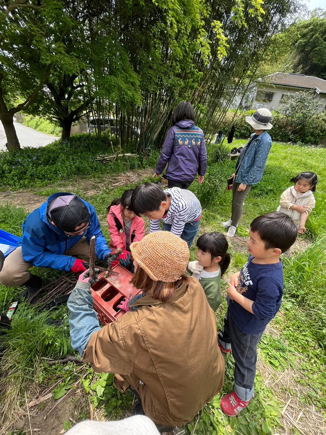 こども農園 活動記録 2023の写真