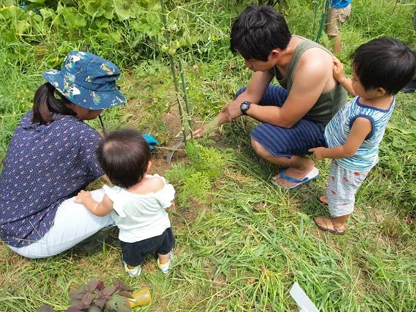 こども農園 活動記録 2019の写真