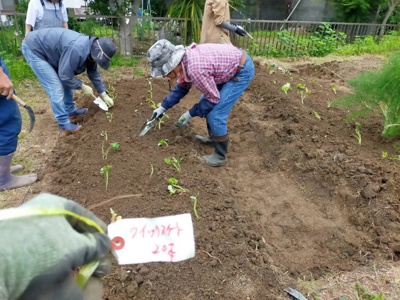 二宮農園 活動記録 2025の写真
