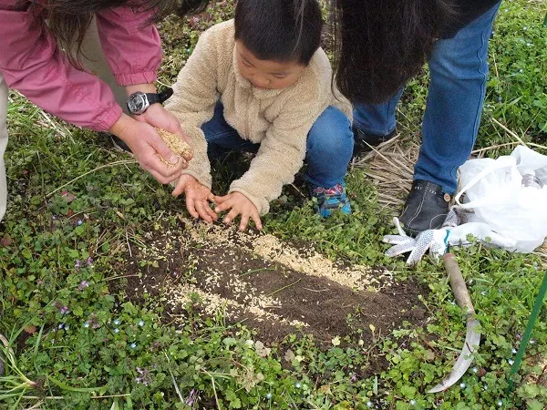 こども農園 活動記録 2019の写真