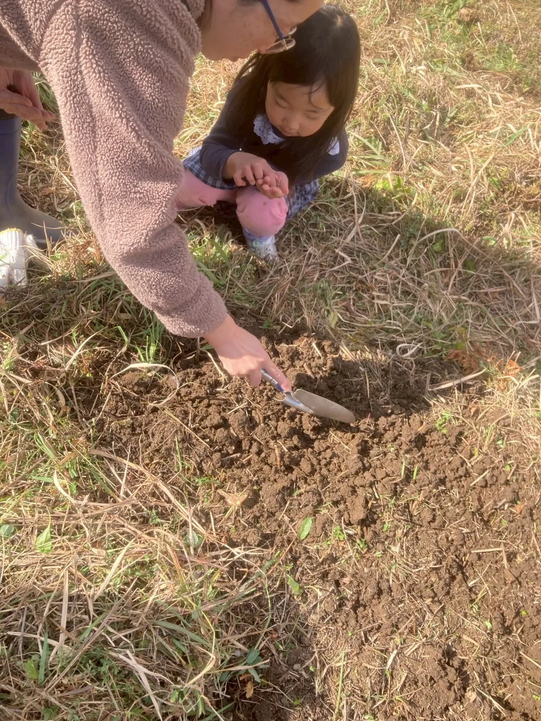 こども農園 活動記録 2026の写真