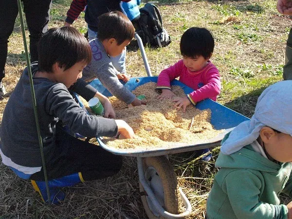 こども農園 活動記録 2018の写真