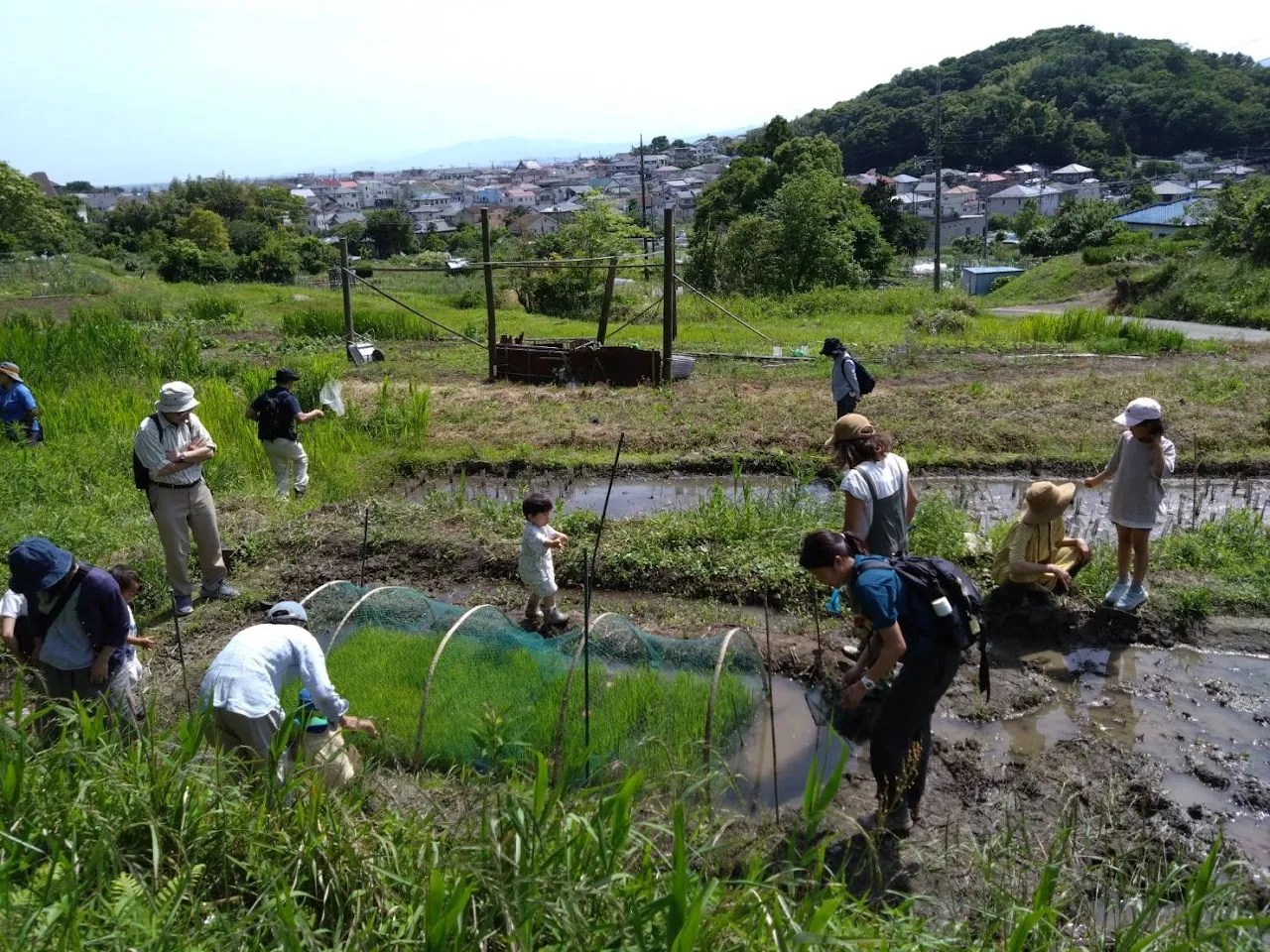 吾妻山棚田の生きもの調査の写真
