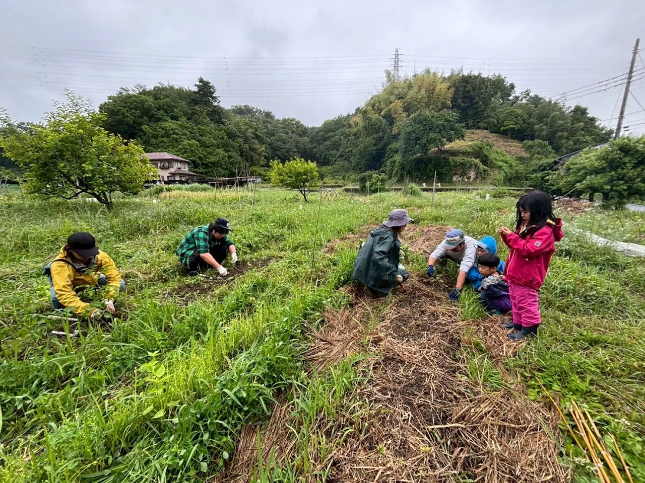 こども農園 活動記録 2025の写真