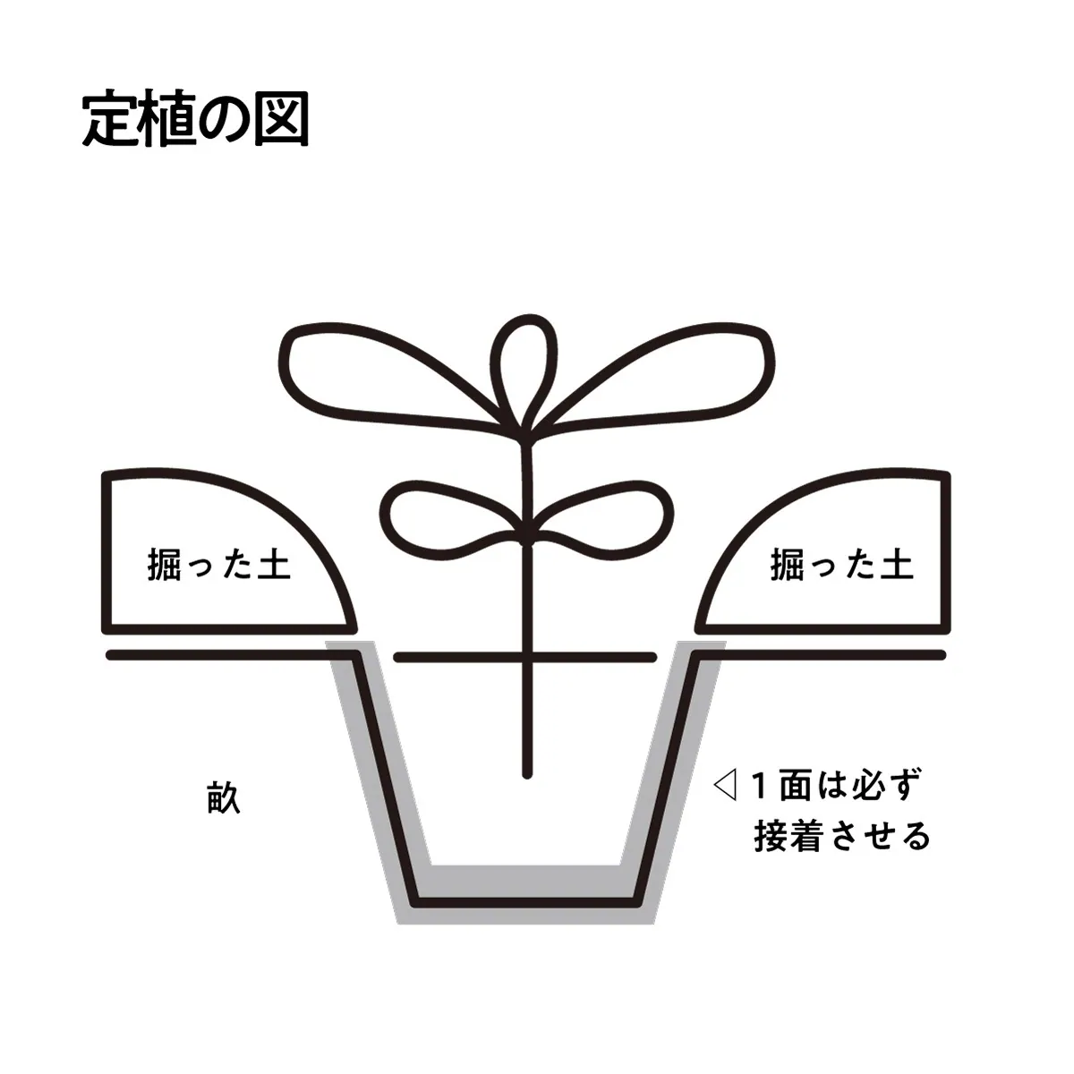 二宮農園 活動記録 2025の写真