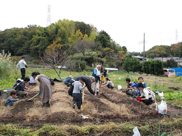 こども農園 活動記録 2019の写真