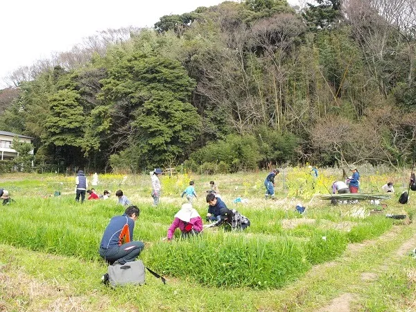 二宮農園 活動記録 2020の写真