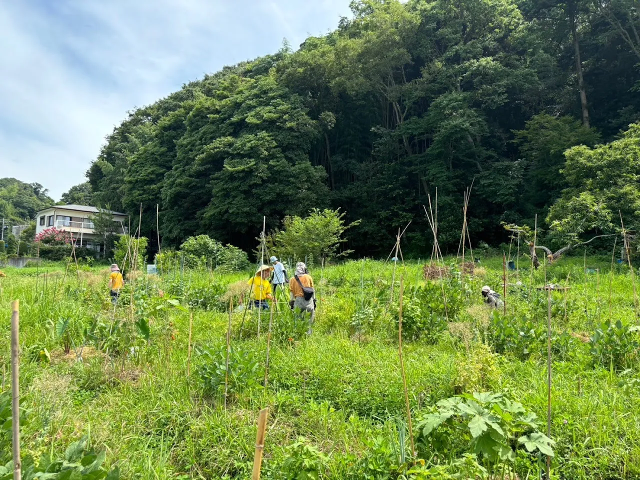二宮農園 活動記録 2024の写真
