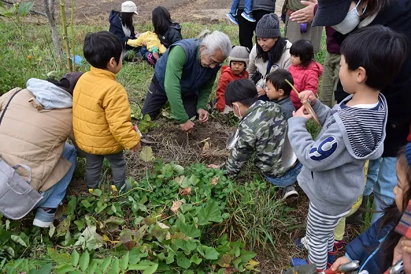 こども農園 活動記録 2020の写真