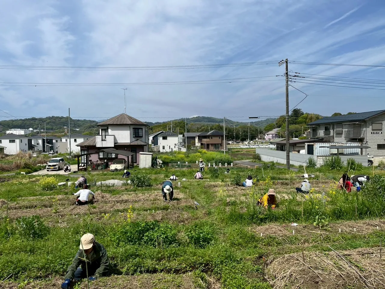 二宮農園 活動記録 2026の写真